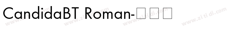 CandidaBT Roman字体转换